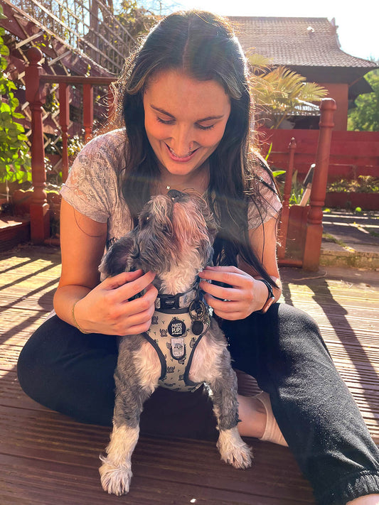 Behind the brand: how Messi Pups started