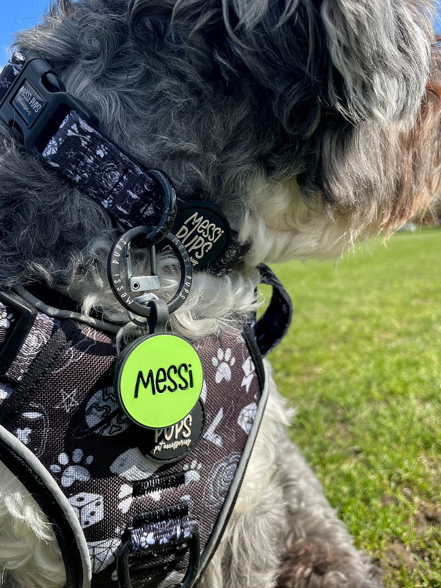Hawd Yer Wheesht • Silent Silicone Pet Tags
