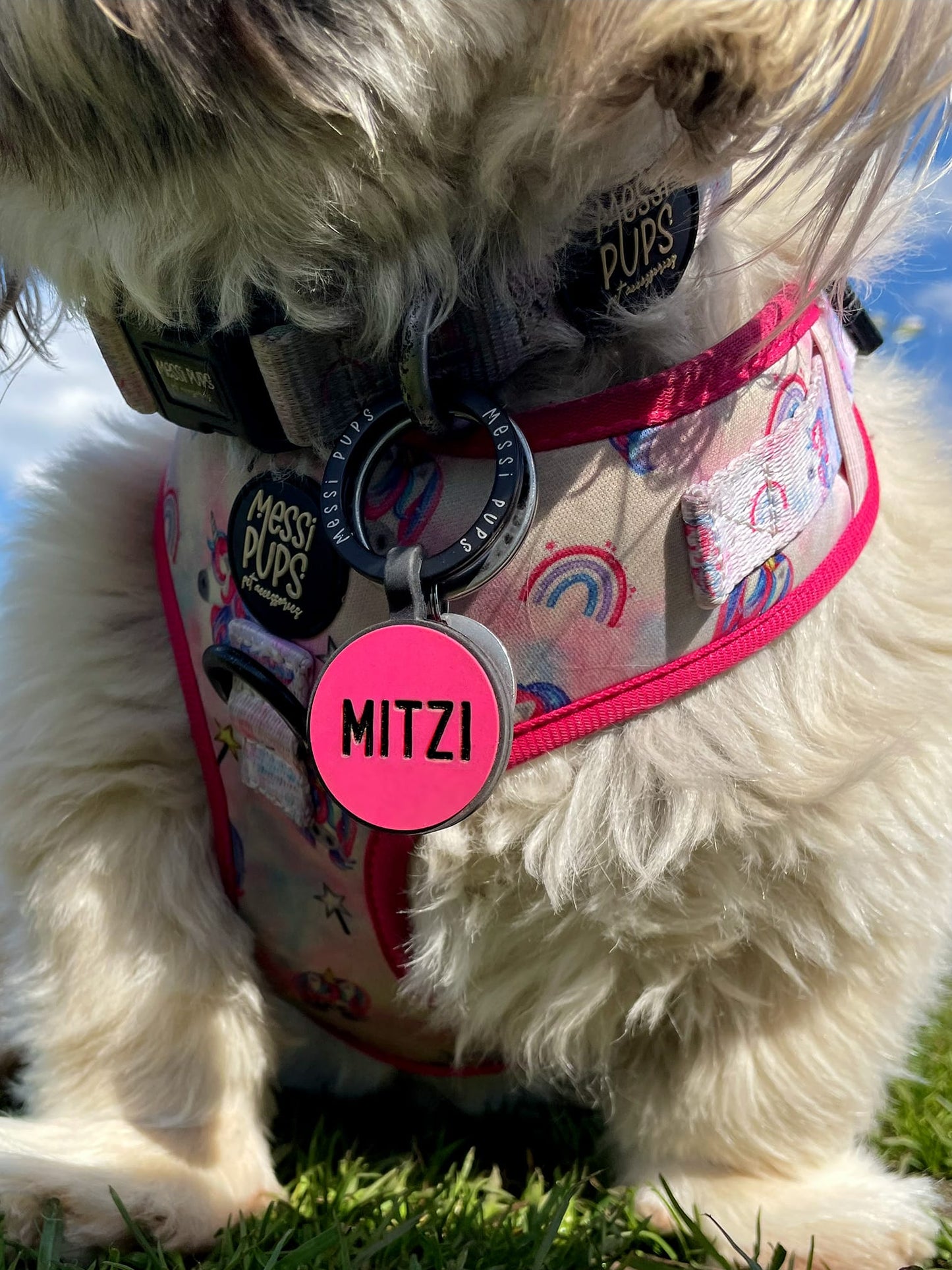Hawd Yer Wheesht • Silent Silicone Pet Tags