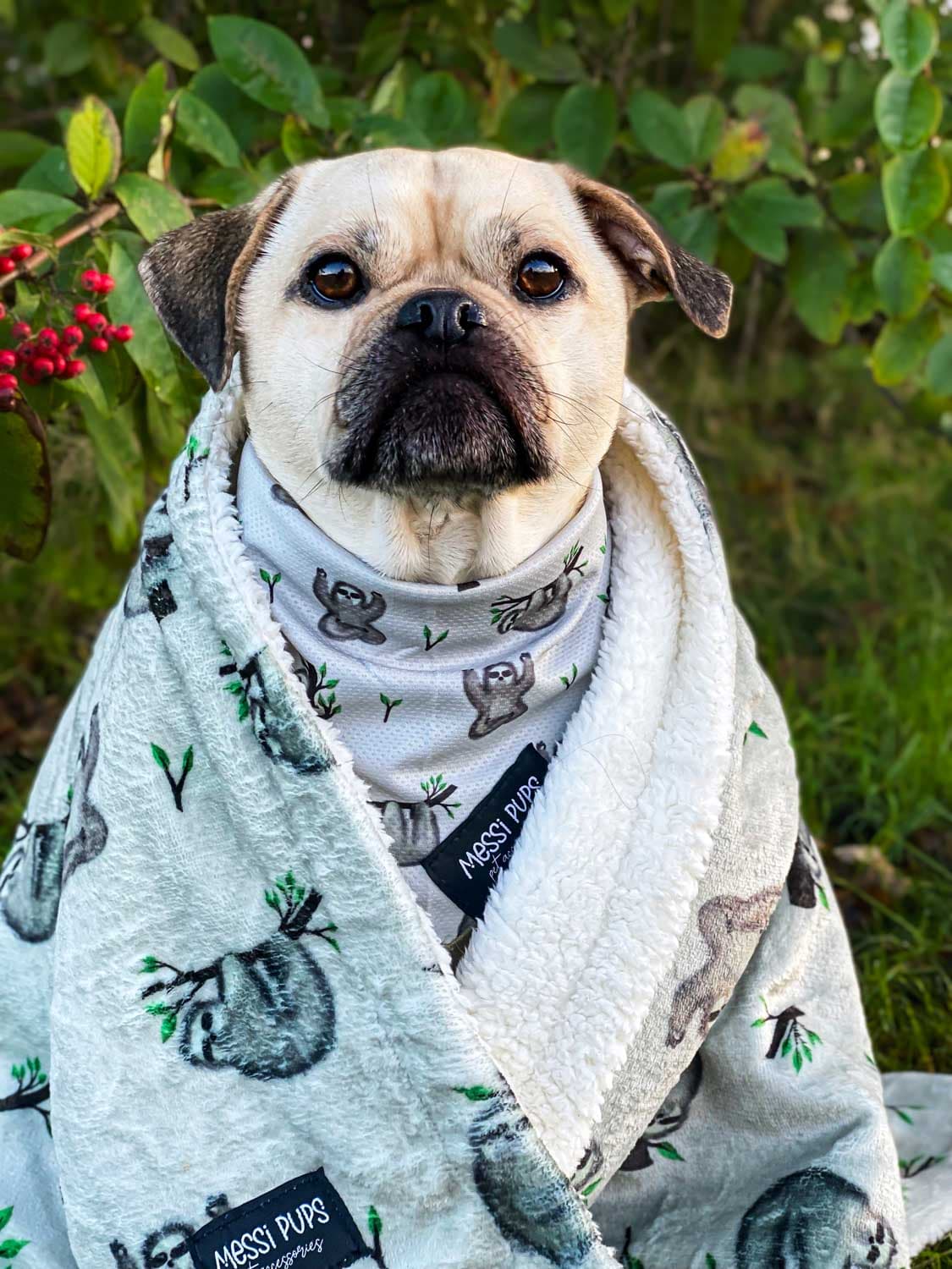 WAF-@reggiethepugjug_Insta_eat-sleep-sloth-repeat [Reggie] (10).JPG