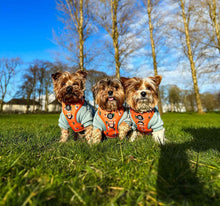 WAF-@yorkiebros_Insta_no-prob-llama (34).JPG