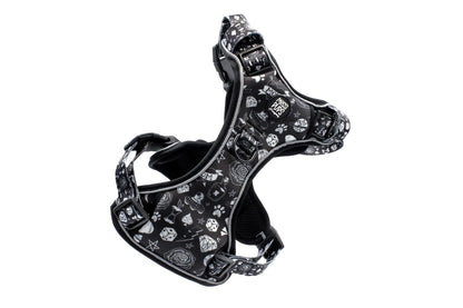 Bad To The Bone-io • Ruff 'n Ready Harness