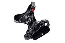 Bad To The Bone-io • Ruff 'n Ready Harness