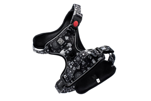 Bad To The Bone-io • Ruff 'n Ready Harness