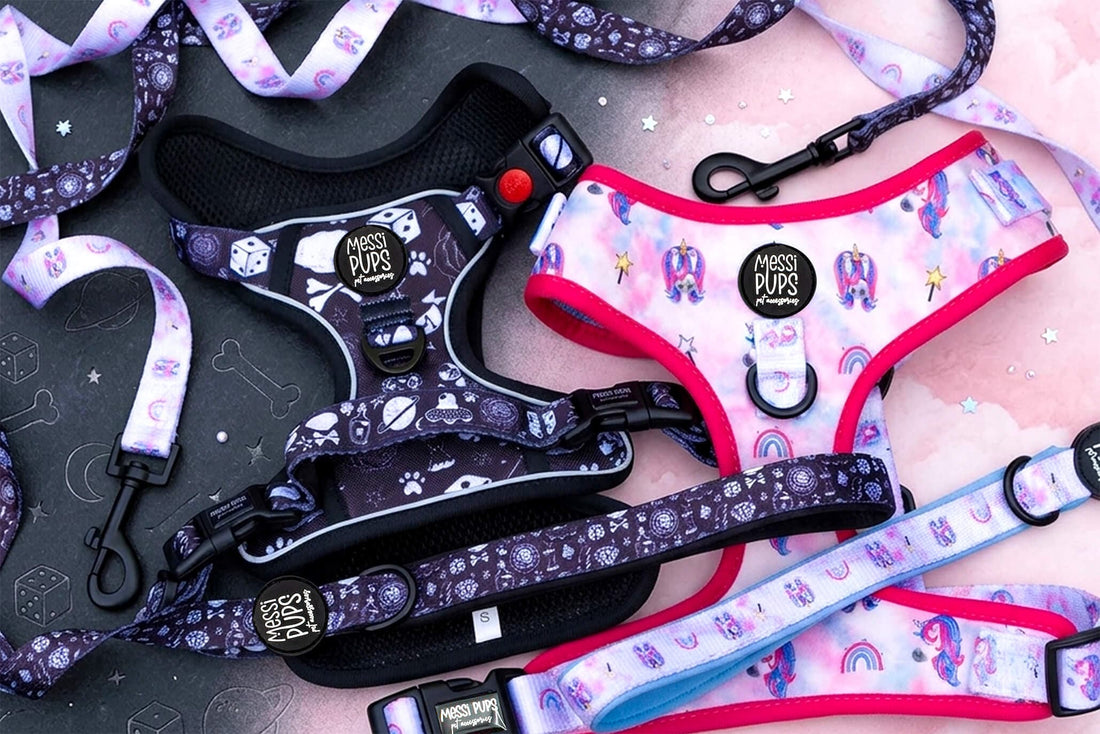 Coordinated dog harness, collar and lead bundle