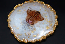 Hairy Coo-Ture • Geode Coasters