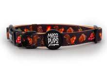 Feelin' Mighty Pine • Collar