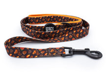 Feelin' Mighty Pine • Lead