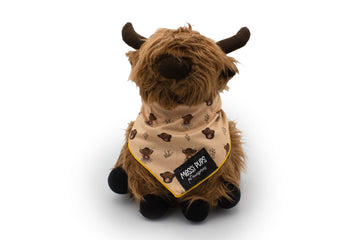 Hairy Coo-ture • Bandana