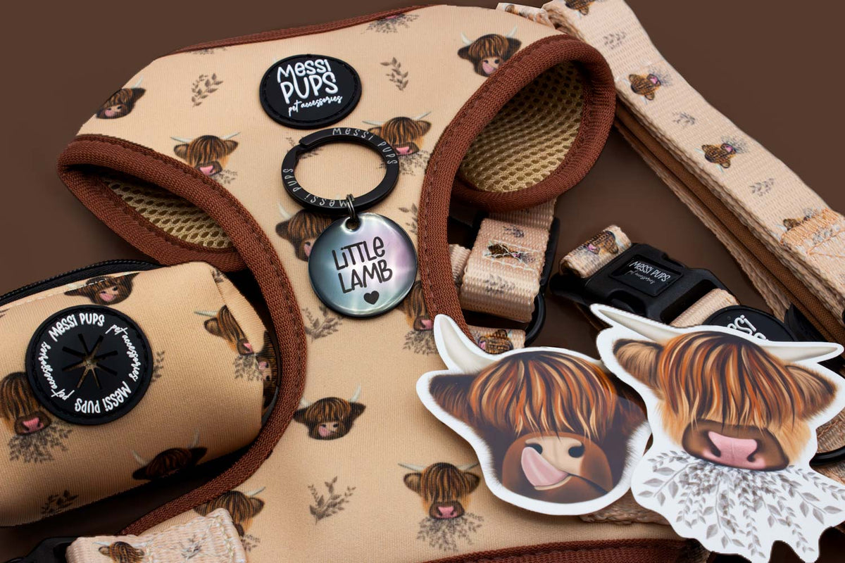 Scottish-inspired Messi Pups collection