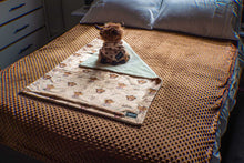 Hairy Coo-ture • Minky Dot Double Bed Blanket
