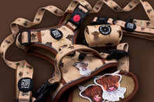 Hairy Coo-Ture • Ruff 'n Ready Harness Mini Bundle