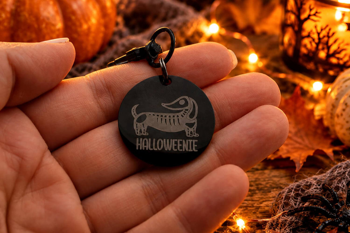 Halloweenie • Stainless Steel Pet Tags