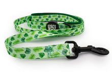 Leaf Me Alone • Lead