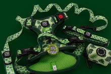 Leaf Me Alone • Ruff 'n Ready Harness Mini Bundle