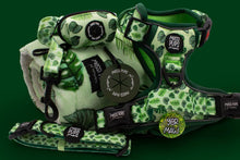 Leaf Me Alone • Ruff 'n Ready Harness Super Bundle