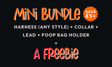 Build Your Own Bundle - Mini Bundle