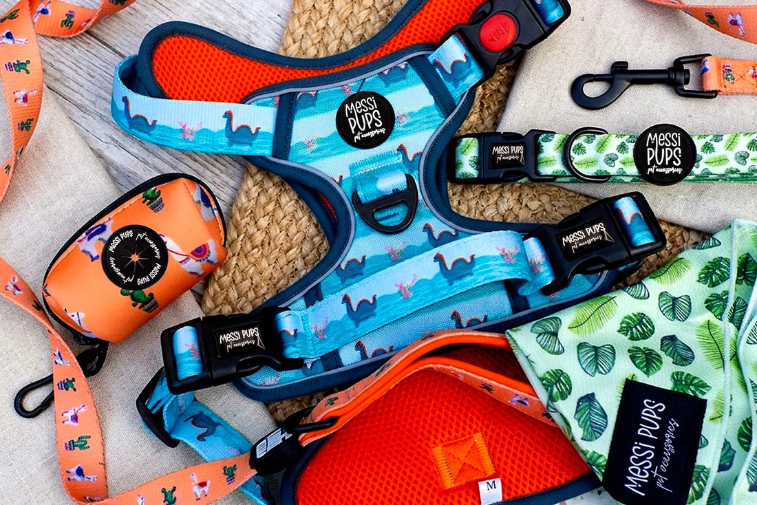 Coordinated dog harness, collar and lead bundle