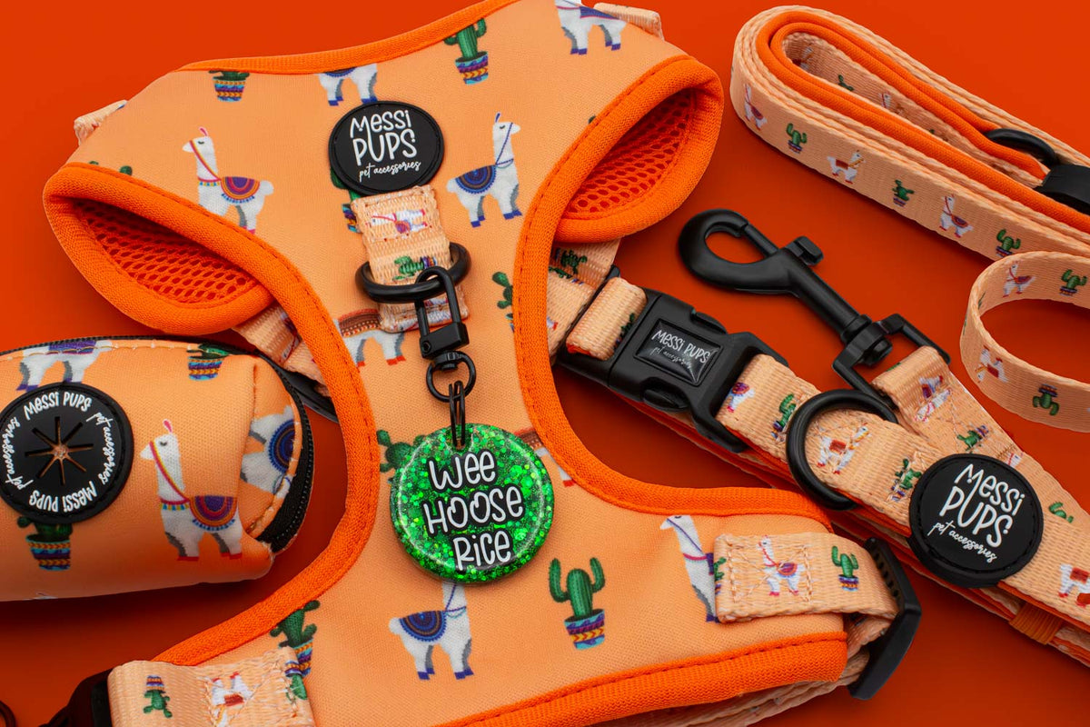 Messi Pups No Prob-Llama Original Harness Mini Bundle showing colorful llama-themed harnesses and accessories for small dogs.