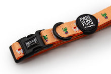 No Prob-Llama • Collar