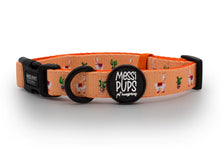 No Prob-Llama • Collar