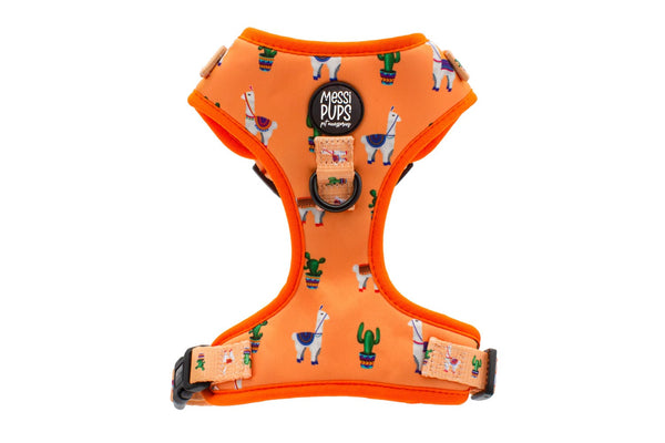 No Prob-Llama • Original Adjustable Harness