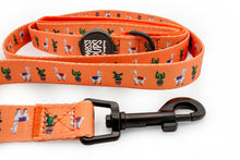 No Prob-Llama • Lead