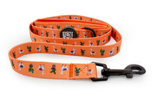 No Prob-Llama • Lead