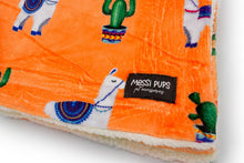 No Prob-Llama • Sherpa Blanket