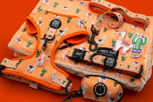 No Prob-Llama • Original Harness Super Bundle