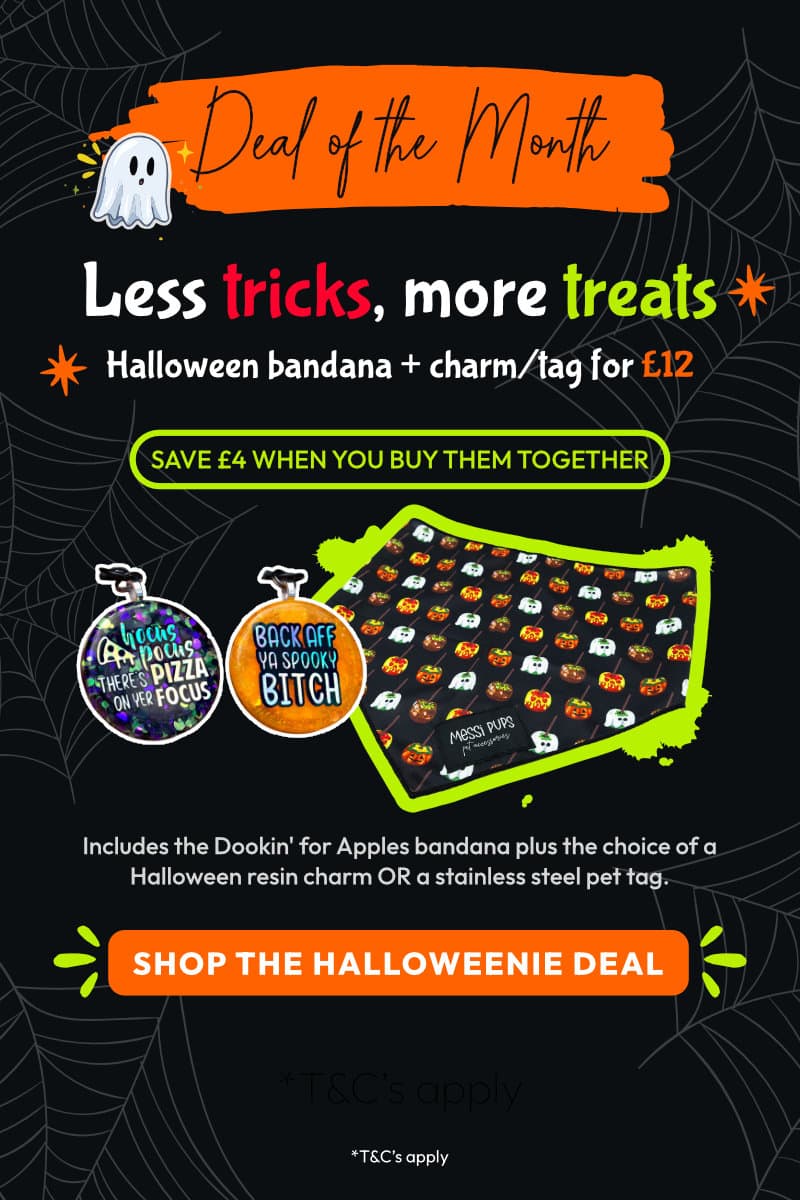 Deal of the Month