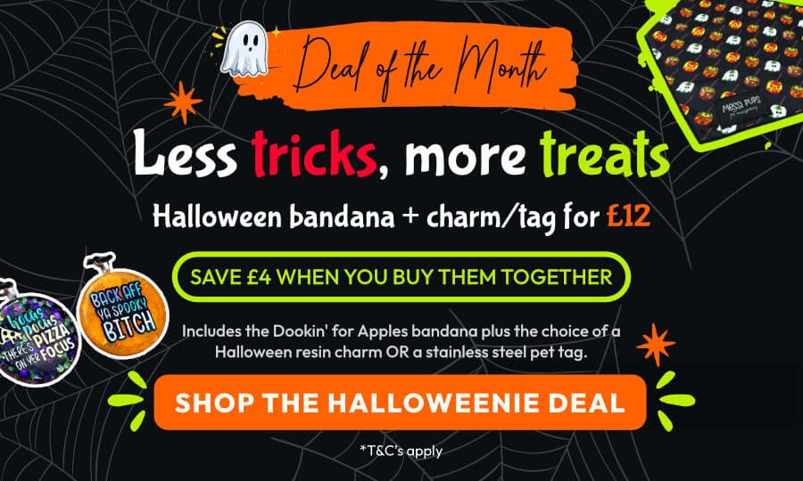 Deal of the Month