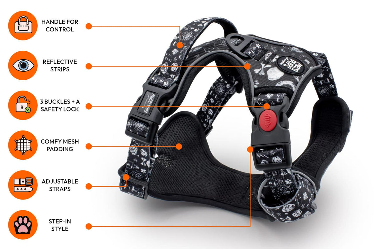 Messi Pups Bad To The Bone-io Ruff 'n Ready Harness with bone design, adjustable straps, and padded comfort for dogs.
