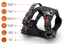 Bad To The Bone-io • Ruff ’n Ready Harness