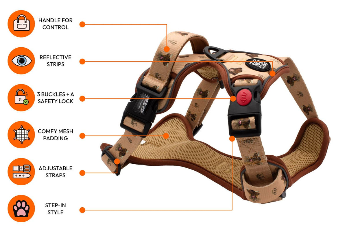 Messi Pups Hairy Coo-Ture Ruff 'n Ready Harness displayed on a dog, showing adjustable straps and durable design.