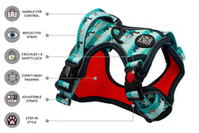 Loch Mess Monster • Ruff ’n Ready Harness