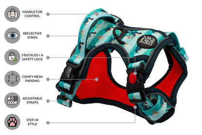 Messi Pups Loch Mess Monster Ruff 'n Ready harness with adjustable straps and colorful design for dogs.