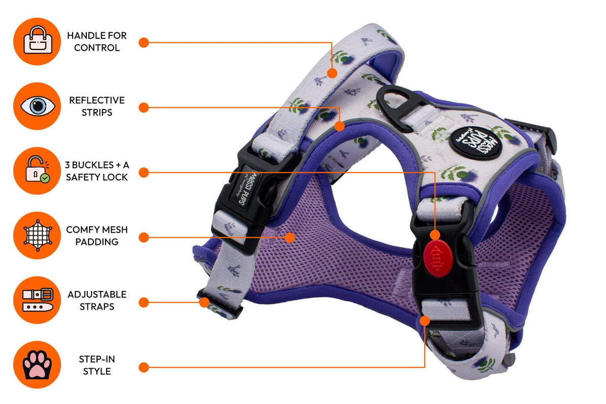 Messi Pups Ruff 'n Ready Harness featuring a Thistle Do Nicely design on a durable, adjustable pet harness for dogs.