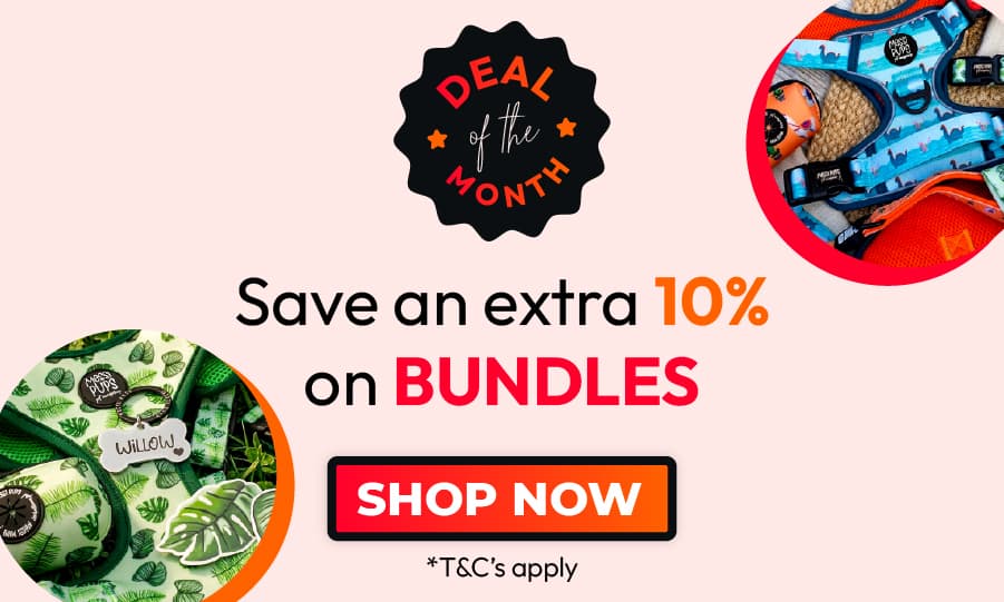 Deal of the Month