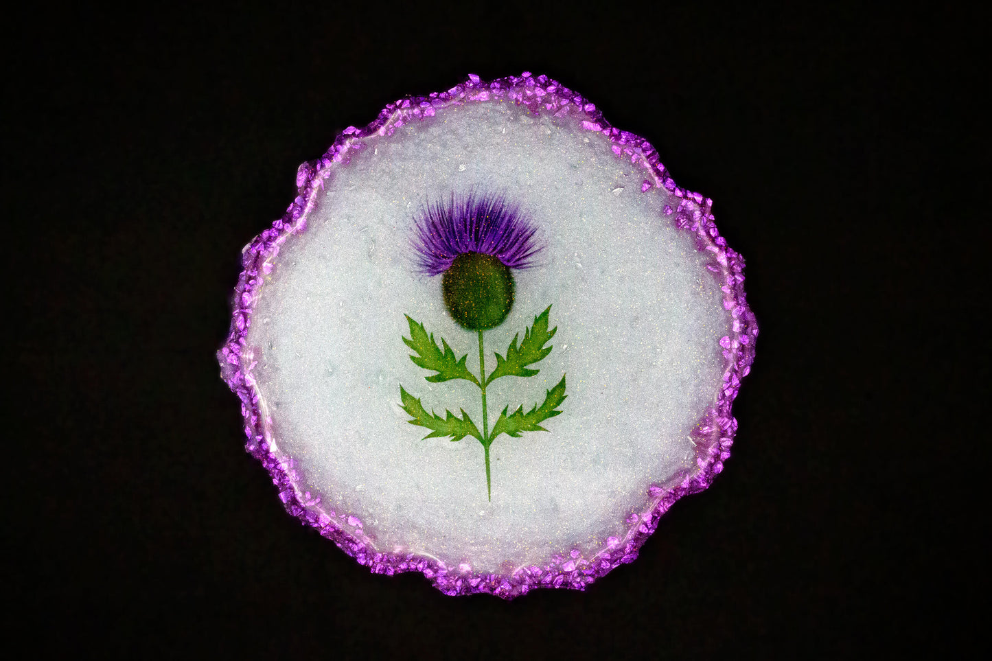 Thistle Do Nicely • Geode Coasters