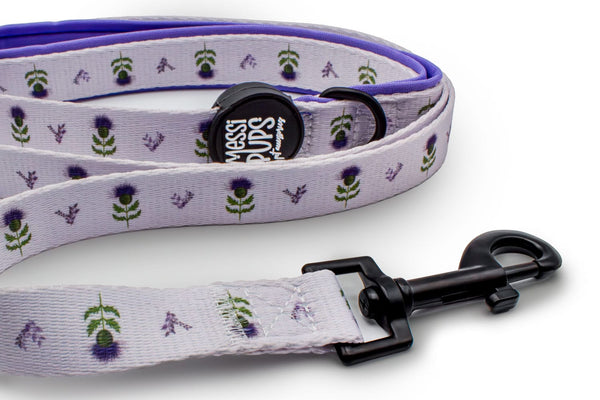 Thistle Do Nicely • Lead