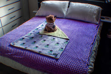 Thistle Do Nicely • Minky Dot Double Bed Blanket