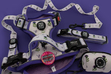 Thistle Do Nicely • Ruff 'n Ready Harness Mini Bundle
