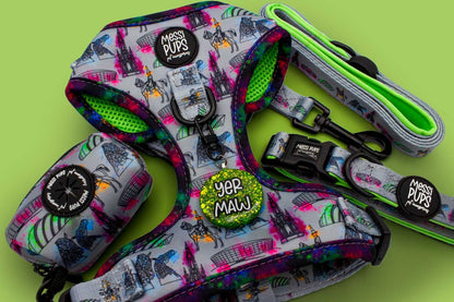 Up The Toon • Original Harness Mini Bundle