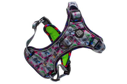 Up The Toon • Ruff 'n Ready Harness