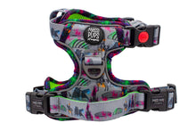 Up The Toon • Ruff 'n Ready Harness