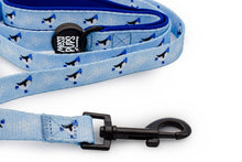 Up To Snow Good • Lead